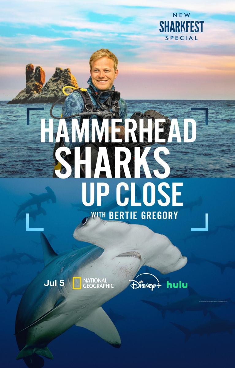 Tiburones martillo en primer plano con Bertie Gregory (2026)