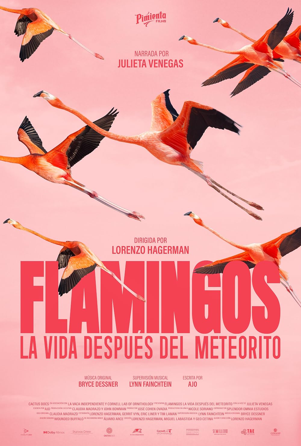 Flamingos: La vida después del meteorito (2026)