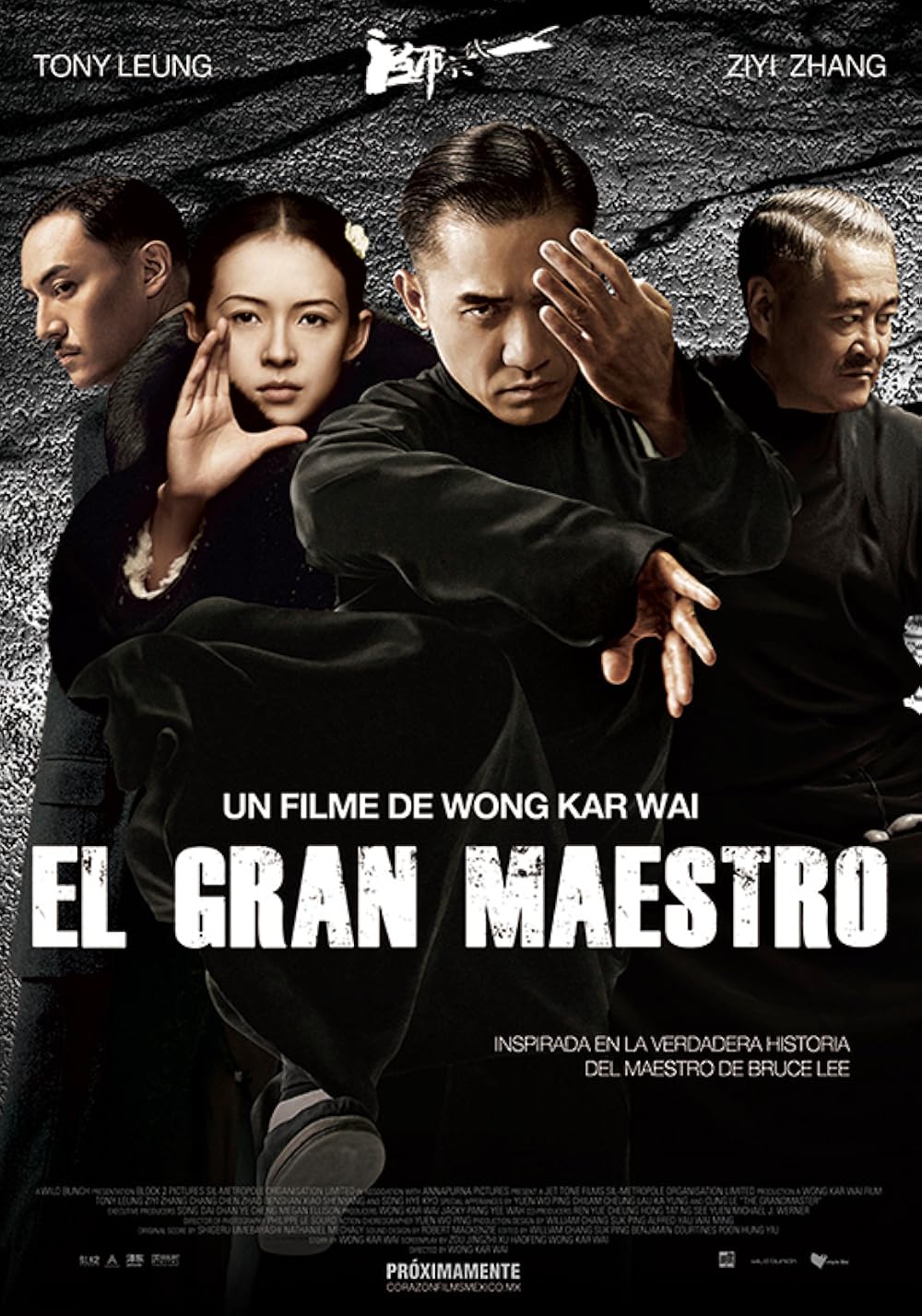 El gran maestro (2013)